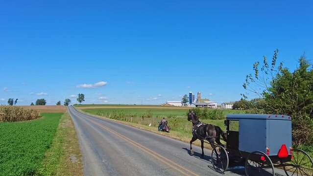 An Amish Horse and Buggy Trotting Down a Country Road Passing Farms, in Slow-Motion on a Beautiful Sunny Day