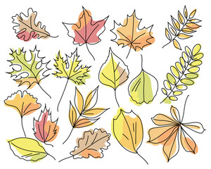 Obraz premium Set of autumn leaves of different trees isolated on white background. Leaves in linear art with the addition of colored spots. Leaves of maple, oak, chestnut, acacia, ash, ginkgo. Vector 