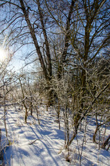 erster Schnee in Messstetten, Scwäbische Alb