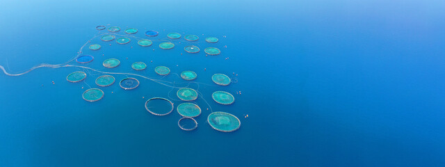 Aerial drone ultra wide panoramic photo with copy space of sea bass and sea bream fishery or fish...