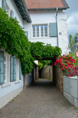 Obraz premium Freinsheim in der Pfalz