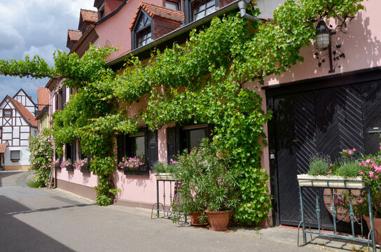 Freinsheim in der Pfalz
