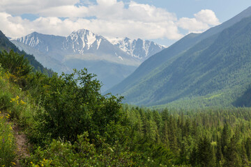Landscape of Altai mountains on the way to Kucherlinskoe lake. Altai region, Siberia, Russia