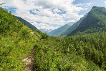 Fototapeta na wymiar Landscape of Altai mountains on the way to Kucherlinskoe lake. Altai region, Siberia, Russia
