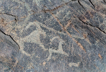 Petroglyphs (petrographer) on the rocks in the Altai Mountains, Siberia Russia