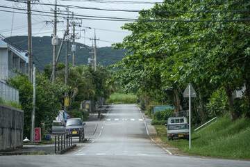 沖縄県 西表島 大富