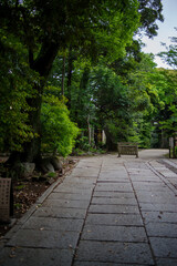 Fototapeta na wymiar 東京赤坂にある氷川神社の境内