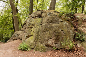 walking track with rocks in germany near tecklenburg