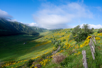 Obraz premium Paysage des Monts du Cantal au printemps dans le Parc Régional Naturel des Volcans d'Auvergne en France autour du Puy Mary