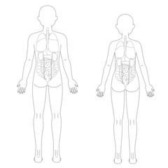 男性　女性　背面の人体図と臓器