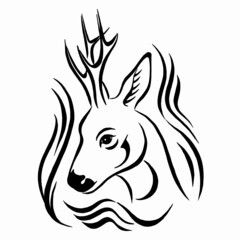 Head of a roe deer vector portrait animal antler. Hand drawn deer, sketch black and white  illustration on white background. Simple Vector of roe head. Linear drawing.