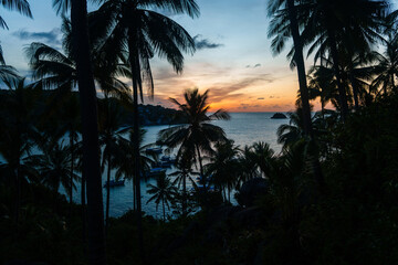 Obraz premium coconut trees on tropical island in summer