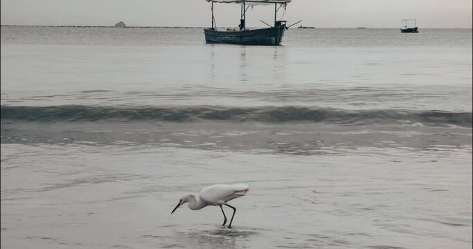 Gaivota em praia deserta de pescadores  clima frio com barcos de pesca ao fundo e ondas pequenas quebrando na areia