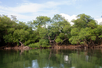 Los Haitises Park, Dominican Republic