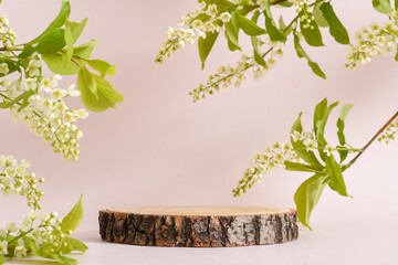 Wooden podium with a flowering cherry branch on a beige background. The pedestal is made of natural...