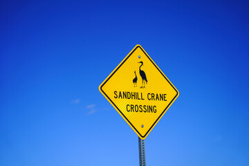 sandhill crane wildlife crossing road sign