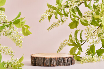 Wooden podium with a flowering cherry branch on a beige background. The pedestal is made of natural...