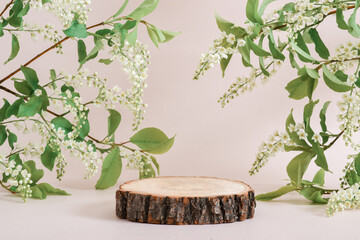 Wooden podium with a flowering cherry branch on a beige background. The pedestal is made of natural wood. Presentation of eco-products