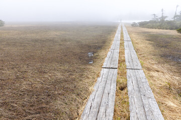 雪解け後の山の上の木道　日本百名山　八幡平