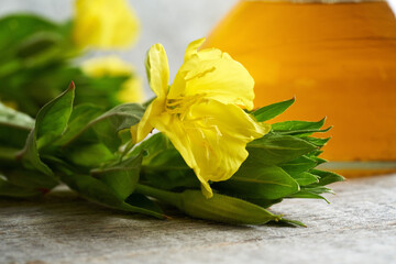 Blooming evening primrose plant with a bottle of evening primrose oil