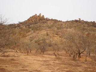 Le d&eacute;sert du Sahel au Tchad