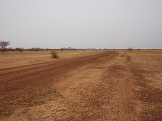 Fototapeta na wymiar Dans le désert du Sahel au Nord du Tchad