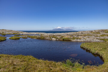 Fototapeta na wymiar Hiking in the archipelago around Horn - Broennøoey municipality, Northern Norway- Europe 