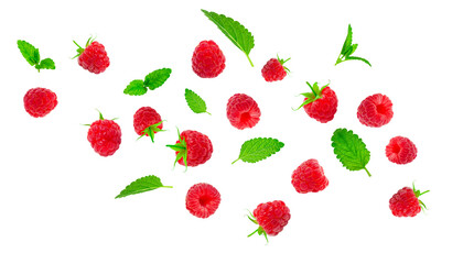 Flying raspberries with green mint leaves, lemon balm, melissa isolated on white background. Sweet ripe fresh delicious summer berry, organic food, vitamins. Creative background with falling raspberry