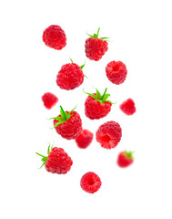 Collection of falling raspberries isolated on white background. Sweet ripe fresh delicious raspberry, summer berry, organic food, vitamins. Berry raspberry set for your design