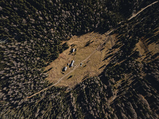 some huts in the forest