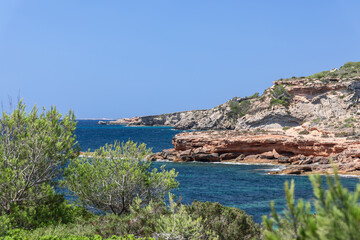 Varieties of evergreen pine small and medium shrubs have found fertile ground for growth on the rocks in the southeastern part of Ibiza, Balearic Islands, Spain