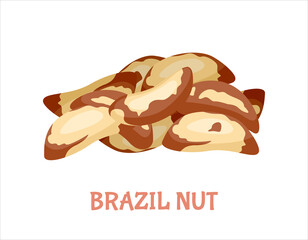 Pile of brazil nut. Peeled nuts and seeds isolated on white. Vector illustration of healthy food in cartoon flat style.