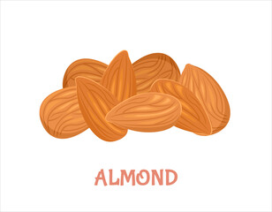 Pile of almond. Peeled nuts and seeds isolated on white. Vector illustration of healthy food in cartoon flat style.