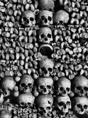 Des crânes et des os dans les catacombes de Paris 
