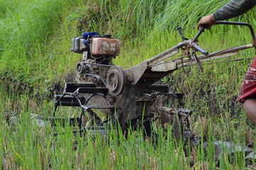 Low Angle View Two Wheel Hand Tractor Is Being Used To Plow The Rice Field