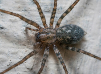 Over the last few months I have been trying out macro photography in which my lens has to be no further than 10 cm away from my subject.