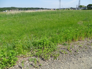 Obraz premium 耕作放棄地