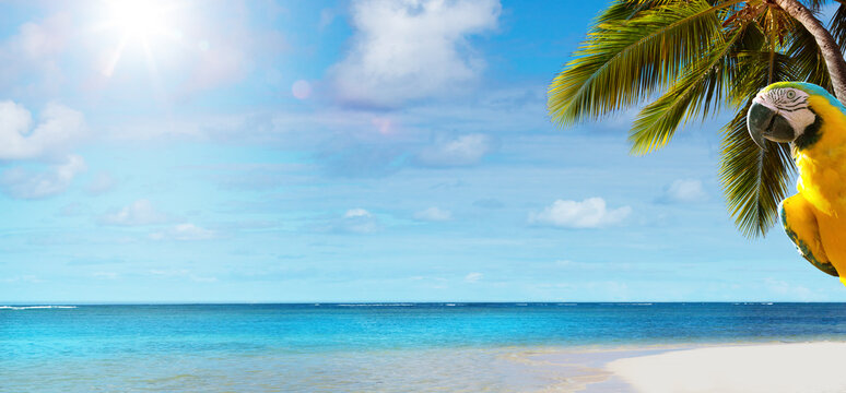 Art beautiful summer tropical holiday background;   suny sandy beach, palm tree and blue sea sky