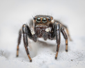 Over the last few months I have been trying out macro photography in which my lens has to be no further than 10 cm away from my subject.