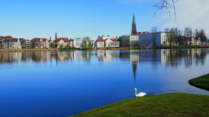 Fototapeta na wymiar schöner Blick über blauen spiegelnden Burgsee in Schwerin mit grüner Wiese und Schwan im Vordergrund