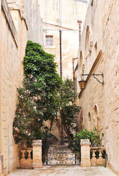 Beautiful picture of a small,cozy garden hidden between the ancient stone houses in Mdina,Malta,Europa.