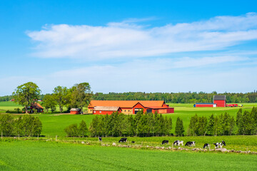 Cultivated land with cows in a pasture and a farm