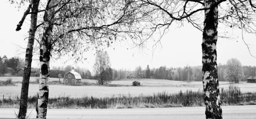 Panoramic black and white image of landscape in Espoo, Finland - 509835428