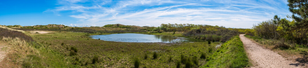 Panoramic shot of the dune landscape near Egmond aan Zee/Netherlands with a water pond