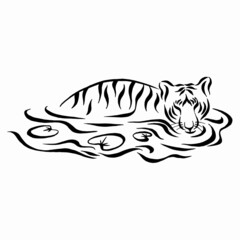 Tiger in water drawing. Silhouette tiger swimming in the river. Linear drawing. Ink drawing tattoo vector with white isolated background.