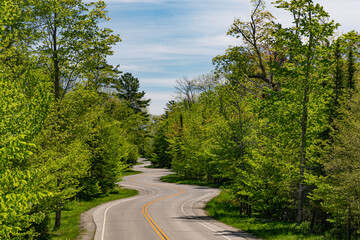 668-84 Highway 42 Spring Curves