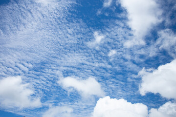 Obraz premium Blue sky with cloud, summer blue sky cloud gradient light blue background.