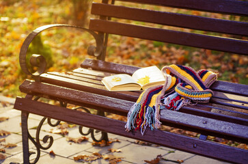 Book and scarf on wooden bench in autumn park.