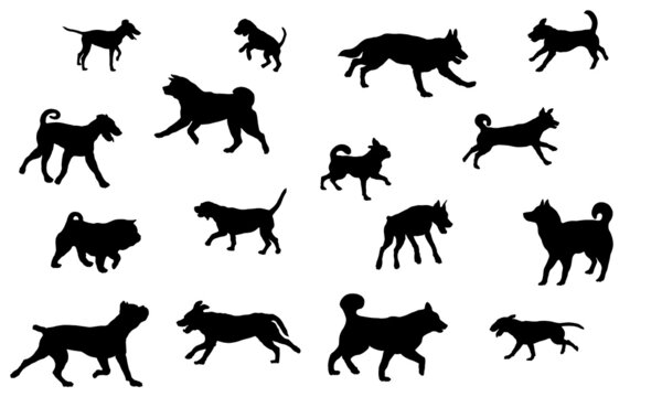 Group of dogs various breed. Black dog silhouette. Running, standing, walking, jumping dogs. Isolated on a white background. Pet animals.