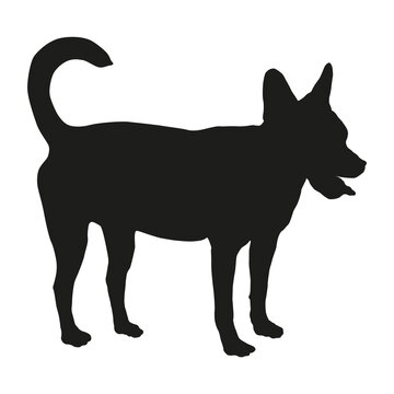 Standing multibred dog puppy. Black dog silhouette. Pet animals. Isolated on a white background.